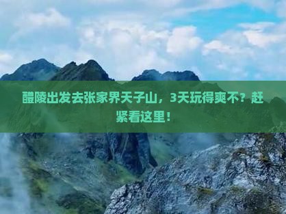 醴陵到张家界天子山旅行社