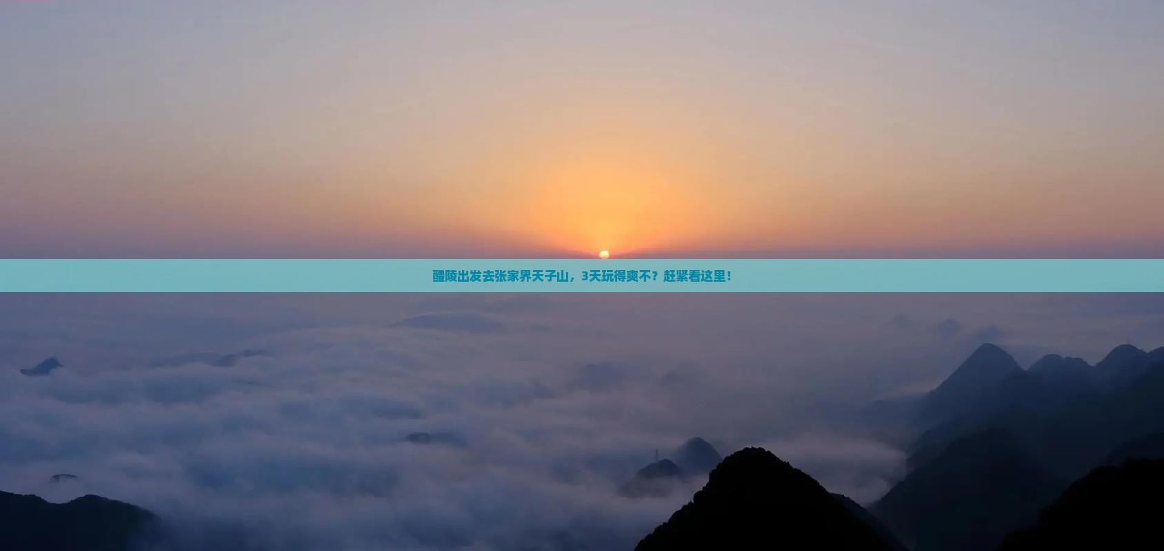 醴陵到张家界天子山旅行社