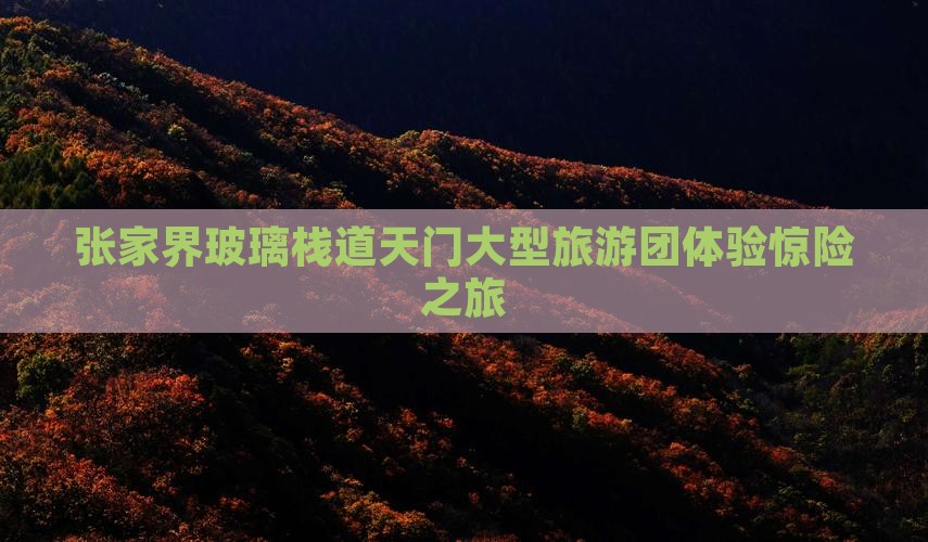 阿里去张家界玻璃栈道大型旅游团