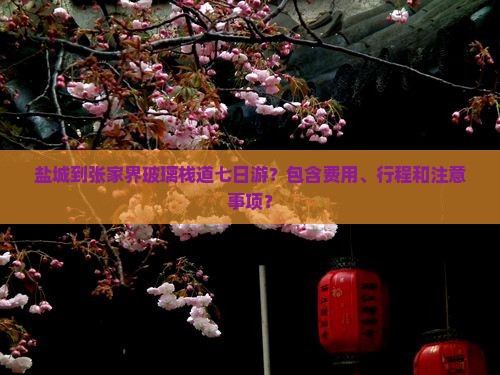 盐城到张家界玻璃栈道七日游