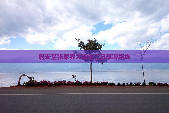 雅安去张家界大峡谷二日游