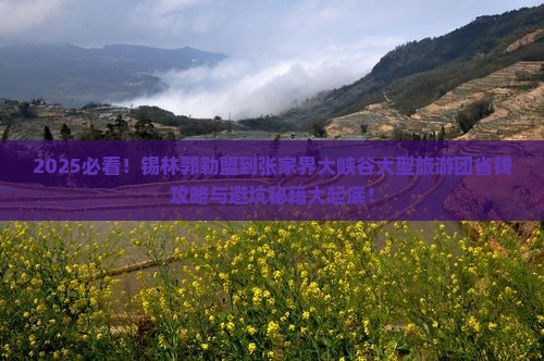 锡林郭勒盟到张家界大峡谷大型旅游团