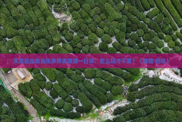 龙岩去张家界武陵源一日