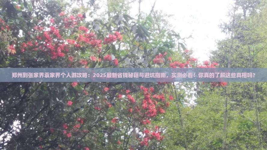 郑州到张家界袁家界个人游