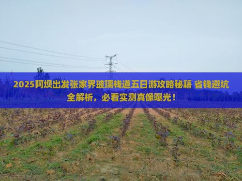 阿坝去张家界玻璃栈道五日游