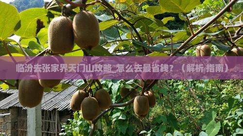 临汾去张家界天门山攻略