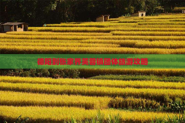 德阳到张家界芙蓉镇团体旅游