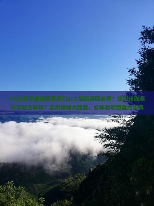 枣庄去张家界天门山大型旅游团