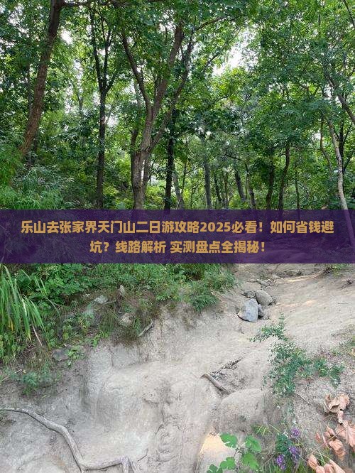 乐山去张家界天门山二日游
