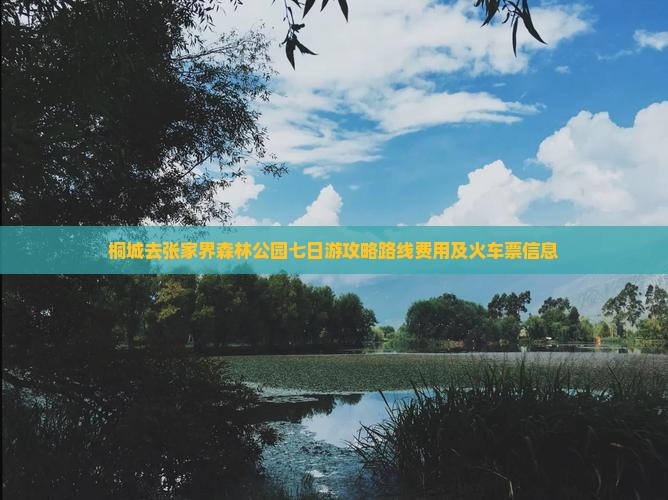 桐城去张家界森林公园七日游