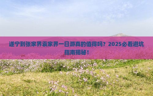 遂宁到张家界袁家界一日