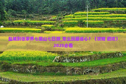 盐城到张家界七星山七日游