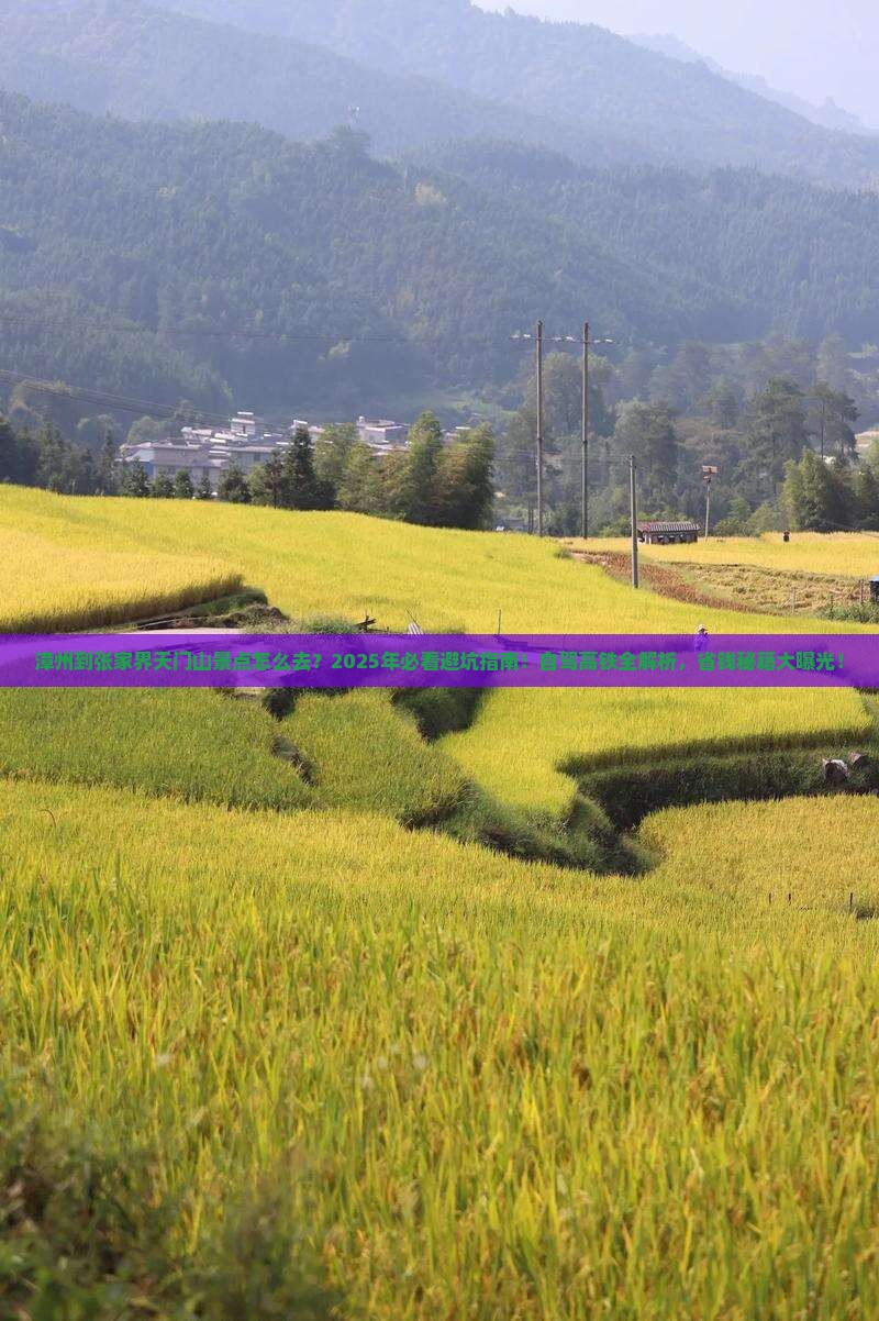 漳州到张家界天门山景点