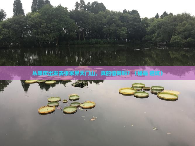 肇庆去张家界天门山攻略