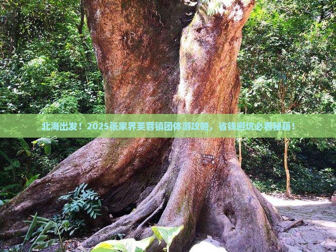 北海去张家界芙蓉镇团体旅游