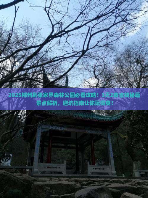 郴州到张家界森林公园景点