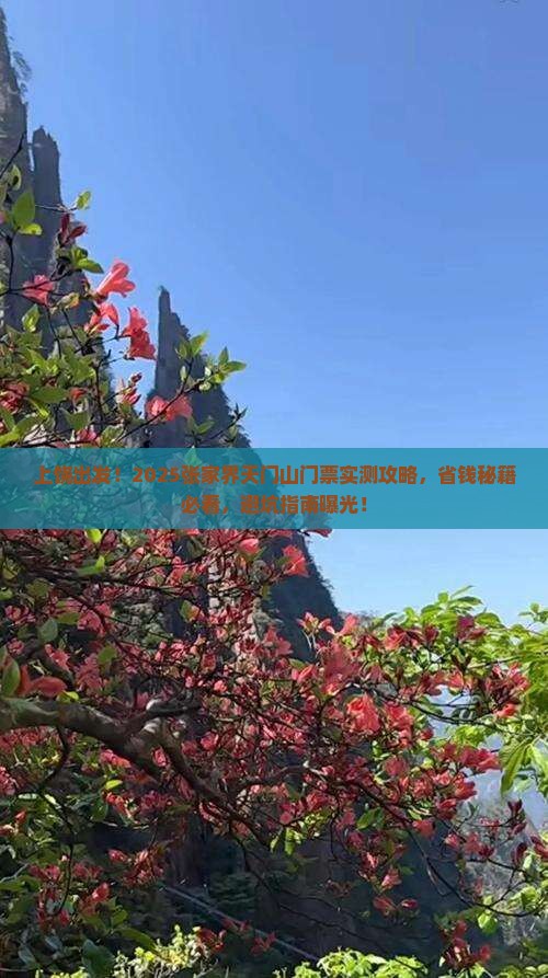 上饶到张家界天门山门票