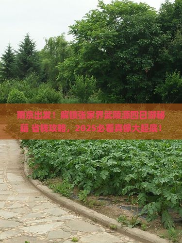 南京到张家界武陵源四日游