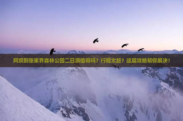 阿坝到张家界森林公园二日游