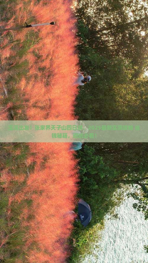 玉溪到张家界天子山四日游