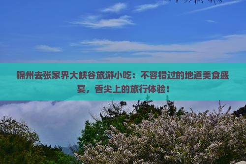 锦州去张家界大峡谷旅游小吃