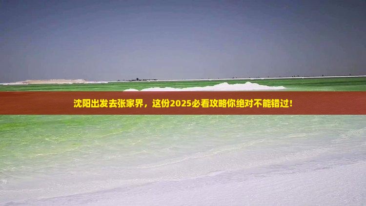 沈阳到张家界旅游