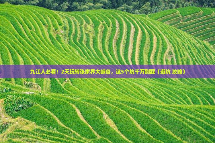 九江去张家界大峡谷二日游