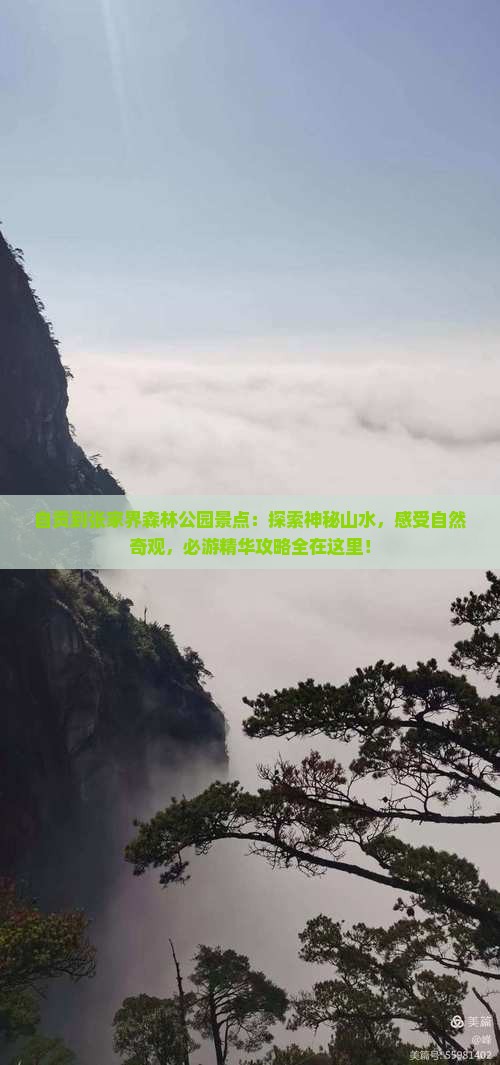 自贡到张家界森林公园景点
