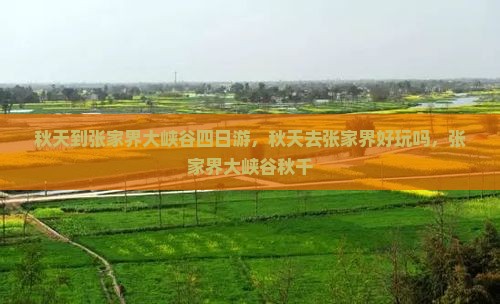 秋天到张家界大峡谷四日游