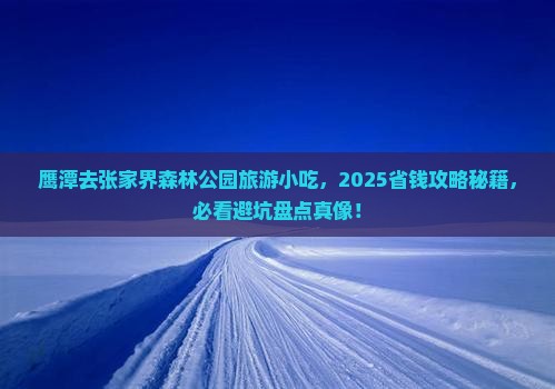 鹰潭去张家界森林公园旅游小吃