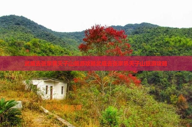 武威去张家界天子山旅游