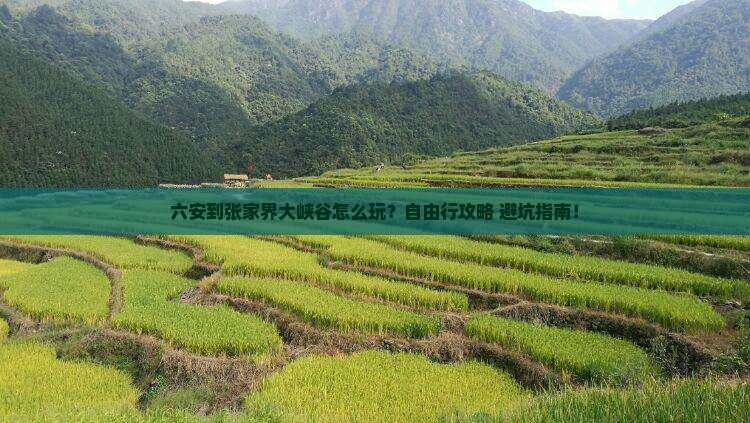 六安到张家界大峡谷个人游