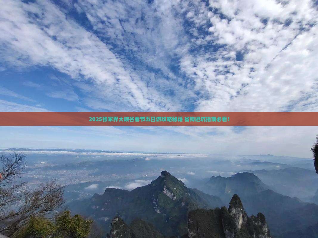 春节到张家界大峡谷五日游