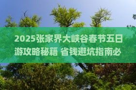 春节到张家界大峡谷五日游