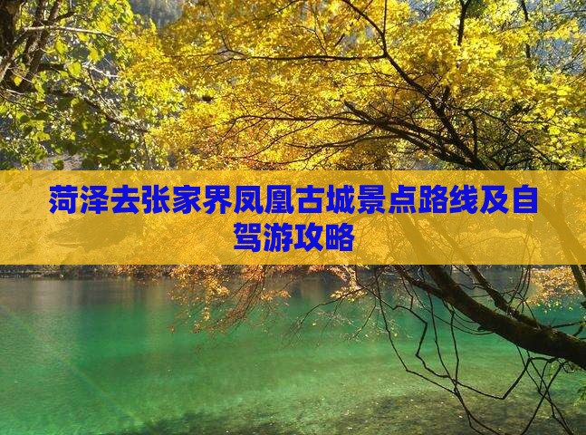 菏泽去张家界凤凰古城景点
