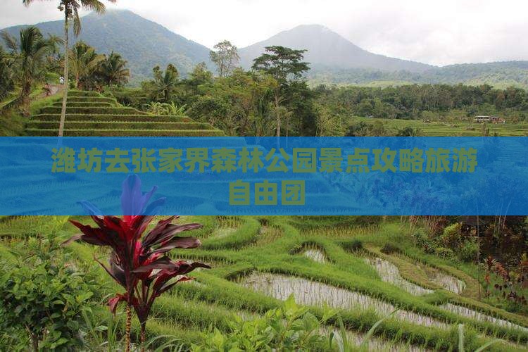 潍坊去张家界森林公园自由团