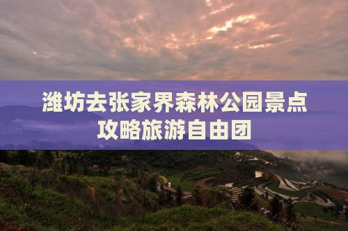 潍坊去张家界森林公园自由团