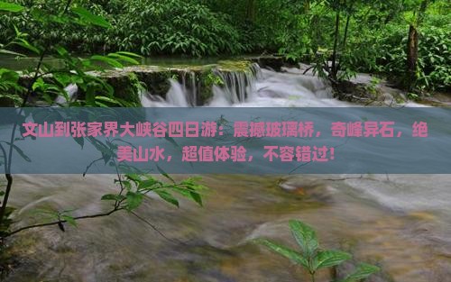 文山到张家界大峡谷四日游