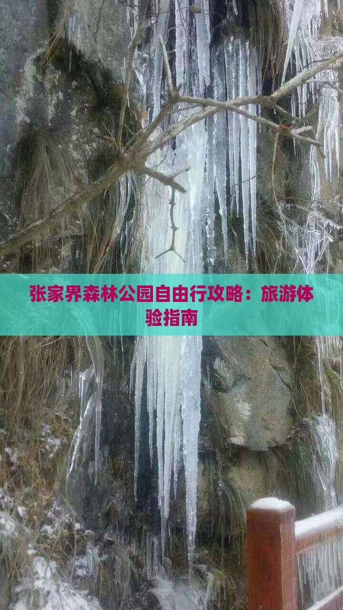 劳动节到张家界森林公园自由行
