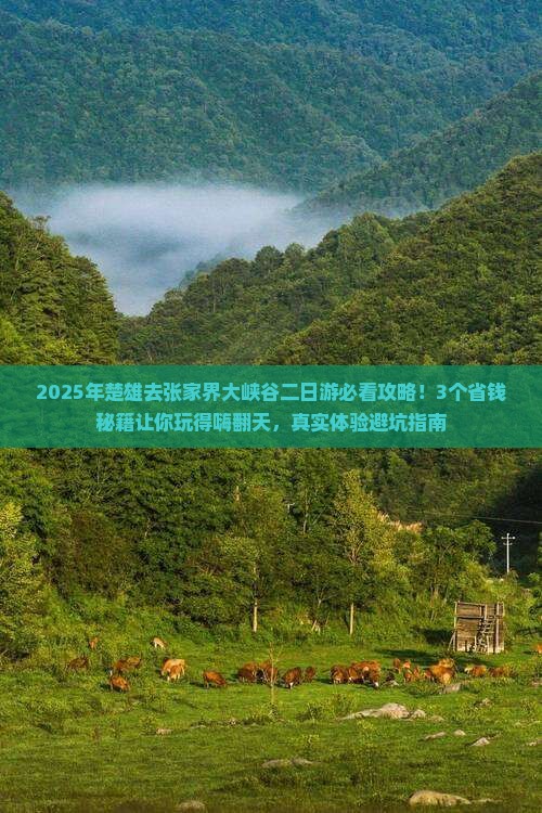 楚雄去张家界大峡谷二日游