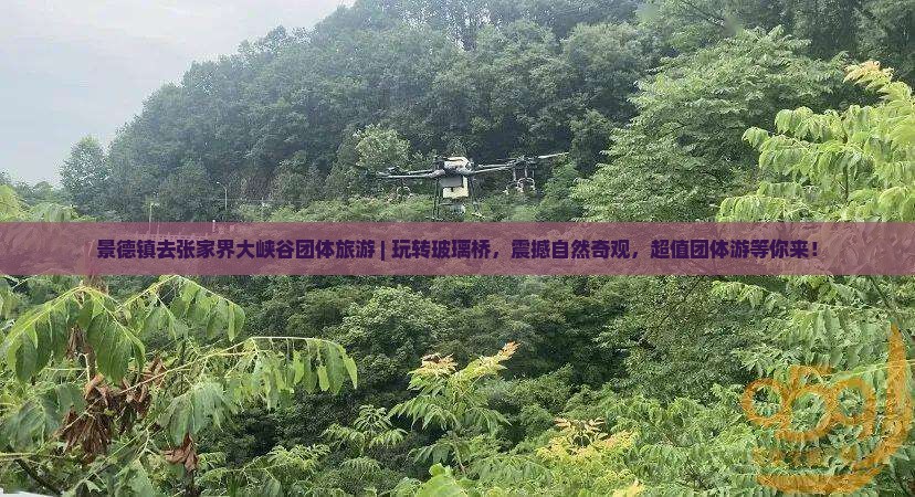 景德镇去张家界大峡谷团体旅游