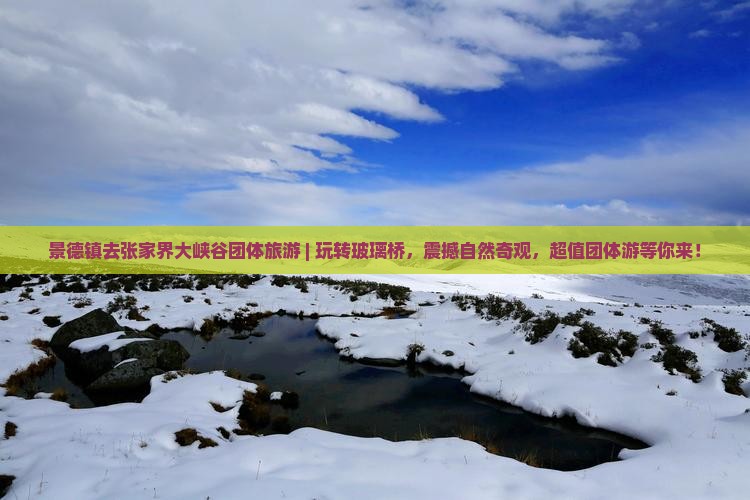 景德镇去张家界大峡谷团体旅游