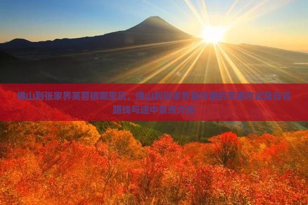 佛山到张家界芙蓉镇哪里玩