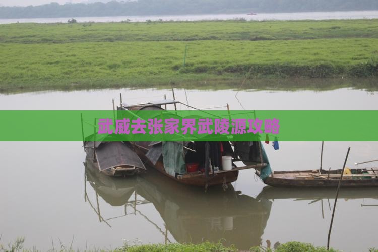 武威去张家界武陵源攻略