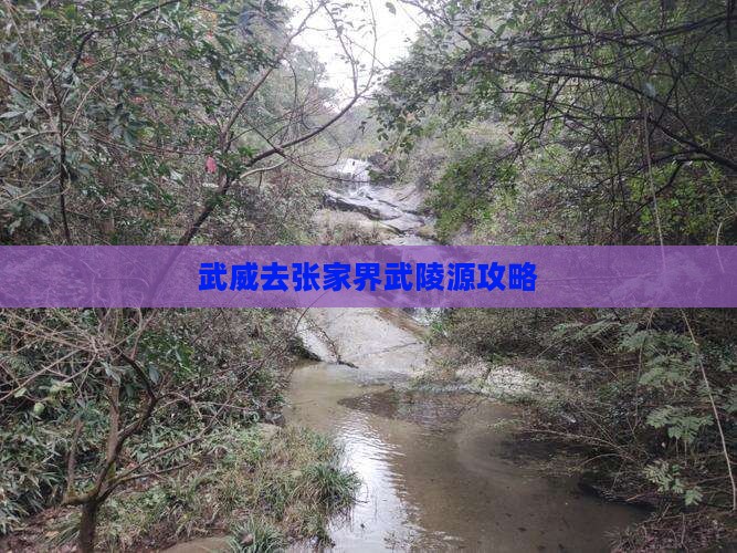 武威去张家界武陵源攻略