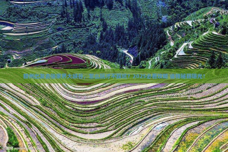 赣州到张家界大峡谷景点