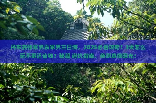 丹东去张家界袁家界三日游