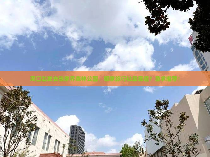 周口去张家界森林公园旅行社