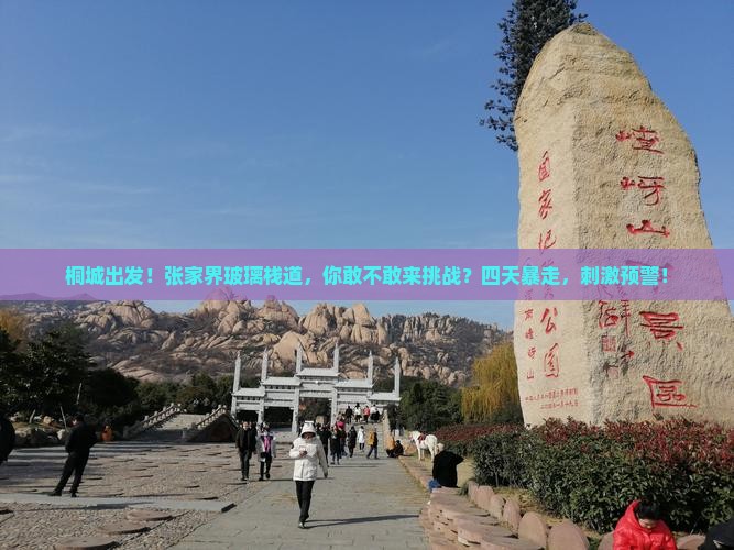 桐城去张家界玻璃栈道四日游