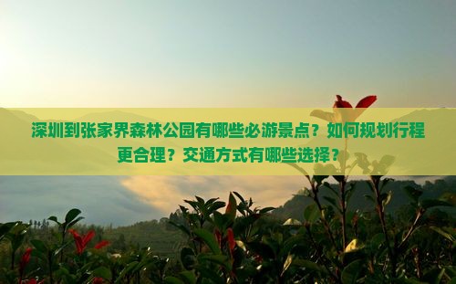 深圳到张家界森林公园景点 深圳到张家界森林公园景点